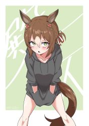 Rule 34 | 1girl, animal ears, black hoodie, blush, brown hair, bulletparty, clover hair ornament, collarbone, feet out of frame, fine motion (umamusume), green eyes, hair between eyes, hair bun, hair ornament, hands in pockets, highres, hood, hood down, hoodie, horse ears, horse girl, horse tail, leaning forward, legs apart, long sleeves, medium hair, multicolored hair, open mouth, single hair bun, sleeves pushed up, solo, standing, tail, two-tone hair, umamusume, v arms