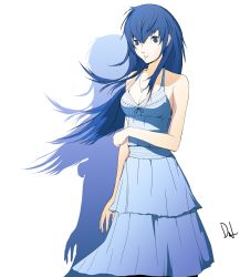 Rule 34 | 1girl, blue eyes, blue hair, commentary, dh (brink of memories), dress, hair between eyes, highres, jewelry, long hair, matching hair/eyes, necklace, persona, persona 4, persona x detective, shadow, shirogane naoto, signature, solo, sundress, white background