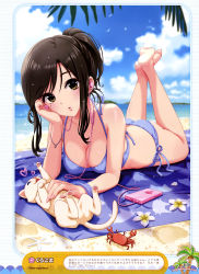 Rule 34 | 1girl, absurdres, ass, barefoot, beach, beach towel, belly rub, bikini, black hair, blush, bracelet, breasts, brown eyes, butt crack, cat, cellphone, cleavage, crab, day, earbuds, earphones, feet, feet together, fingernails, full body, head rest, highres, jewelry, kurogoma, large breasts, long fingernails, lying, mole, mole under eye, on stomach, original, outdoors, parted lips, petting, phone, purple bikini, scan, short hair, short ponytail, side-tie bikini bottom, soles, solo, swimsuit, the pose, toes, towel