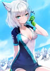 Rule 34 | 1girl, animal ear fluff, animal ears, artist name, bike jersey, bike shorts, blue archive, blue eyes, blue sky, blush, bottle, bottle to cheek, breasts, breasts apart, clothes writing, commentary request, covered navel, day, extra ears, gloves, green gloves, grey hair, halo, highres, holding, holding bottle, looking at viewer, medium breasts, nekoya (liu), outdoors, parted lips, shiroko (blue archive), shiroko (cycling) (blue archive), short hair, short sleeves, sitting, sky, solo, squeeze bottle, sweat, twitter username