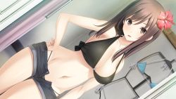 Rule 34 | 1girl, bare shoulders, bikini, black bikini, breasts, brown eyes, brown hair, cleavage, clothes hanger, contrapposto, denim, denim shorts, dressing room, dutch angle, flower, game cg, hair flower, hair ornament, hand on own hip, haru kiss, hibiscus, large breasts, legs, long hair, looking at viewer, mikoto akemi, navel, o-ring, o-ring bikini, o-ring top, open fly, shiraishi aoi, shop, shopping, short shorts, shorts, smile, solo, standing, swimsuit, thighs, thong, unzipped