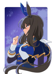 Rule 34 | 1girl, admire vega (umamusume), animal ears, blue dress, border, brown eyes, brown hair, clenched hand, closed mouth, commentary request, dress, ear covers, from side, highres, horse ears, horse girl, long hair, long sleeves, necktie, night, night sky, outdoors, ponytail, shiromaru illust, single ear cover, sky, solo, star (sky), umamusume, upper body, very long hair, white border, white necktie