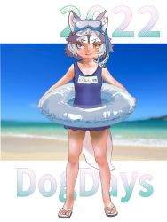 Rule 34 | 1girl, alternate costume, animal ears, bare legs, bare shoulders, beach, blue eyes, blue one-piece swimsuit, blush, commentary request, dog (mixed breed) (kemono friends), dog ears, dog girl, dog tail, frilled one-piece swimsuit, frilled swimsuit, frills, full body, goggles, goggles on head, grey hair, heterochromia, highres, holding, holding swim ring, ieinu account, innertube, kemono friends, looking at viewer, multicolored hair, name tag, one-piece swimsuit, sandals, short hair, snorkel, solo, swim ring, swimsuit, tail, two-tone hair, white hair, yellow eyes