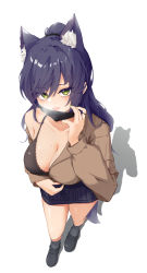 Rule 34 | 1girl, animal ear fluff, animal ears, black bra, black footwear, black mask, black socks, blue hair, blue skirt, bra, breasts, breath, brown shirt, cleavage, collarbone, collared shirt, dress shirt, fox ears, fox girl, fox tail, from above, green eyes, hair between eyes, highres, large breasts, long hair, long sleeves, looking at viewer, looking up, mask, mask pull, meridian project, miniskirt, mole, mole on breast, mouth mask, nail polish, open clothes, open shirt, ponytail, ribbed legwear, ribbed skirt, ru yan, seki (vtuber), shadow, shirt, shoes, simple background, single bare shoulder, skirt, smile, socks, solo, standing, tail, underwear, virtual youtuber, white background, wing collar