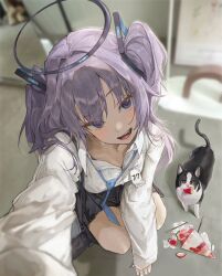 Rule 34 | 1girl, absurdres, black skirt, blue archive, blurry, blurry background, blush, cat, commentary, crepe, food, fruit, halo, head tilt, highres, id card, kuren kren, long sleeves, looking at viewer, loose necktie, necktie, open collar, purple eyes, purple hair, school uniform, shirt, skirt, smile, solo, spill, squatting, strawberry, sweatdrop, symbol-only commentary, two side up, white shirt, yuuka (blue archive)