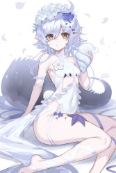 Rule 34 | 1girl, ahoge, arknights, arm support, blue flower, breasts, chinese commentary, collarbone, commentary request, crocodilian tail, eyes visible through hair, flower, grey hair, hair ornament, hair over one eye, head wreath, highres, holding, holding shell, little nine, looking at viewer, official alternate costume, one-piece swimsuit, pointy ears, seashell, shell, short hair with long locks, simple background, sitting, small breasts, solo, starfish, swimsuit, tail, thighs, tomimi (arknights), tomimi (silent night) (arknights), white background, white flower, white one-piece swimsuit, yellow eyes, yokozuwari
