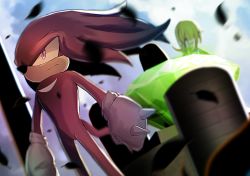 Rule 34 | 1boy, 1girl, cang she, closed mouth, furry, gem, gloves, knuckles the echidna, master emerald, purple eyes, serious, snout, sonic (series), sonic adventure, standing, tikal the echidna, white gloves