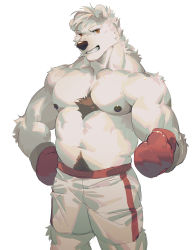 Rule 34 | 1boy, abs, animal ears, bara, bear boy, bear ears, body fur, boxing gloves, bulge, chest hair, feet out of frame, furry, furry male, gloves, highres, large pectorals, male focus, muscular, muscular male, navel, navel hair, nipples, original, pectorals, red gloves, seato-hao, short hair, shorts, smile, snout, solo, stomach, topless male, white background, white shorts, wrestling outfit