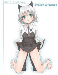 Rule 34 | 00s, 1girl, animal ears, bare legs, barefoot, cat ears, cat tail, clothes lift, green eyes, kanda aya, kneeling, necktie, no legwear, no panties, sanya v. litvyak, short hair, silver hair, skirt, skirt lift, solo, strike witches, tail, world witches series