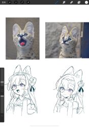 Rule 34 | 1girl, animal ear fluff, animal ears, arin (fanfan013), bow, bow choker, bowtie, character sheet, closed mouth, commentary request, cropped torso, cross print, detached sleeves, flower, hair flower, hair ornament, hair ribbon, hairband, halter shirt, halterneck, highres, leopard ears, lineart, monochrome, open mouth, original, partially colored, procreate (medium), procreate (software), purple eyes, ribbon, round eyewear, short sleeves, simple background, sketch, smile, teeth, white background