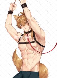 Rule 34 | 1boy, abs, animal ears, arms up, blonde hair, blue pants, cat ears, cat tail, closed mouth, collar, cuffs, genshin impact, green eyes, hair between eyes, handcuffs, highres, long hair, male focus, muscular, muscular male, pants, rourouki, tail, thoma (genshin impact), topless male, yellow tail