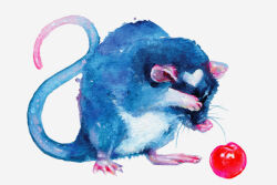 Rule 34 | 1other, animal focus, blue fur, cherry, covering face, eva gamayun, food, fruit, full body, hand on own face, heart, mouse (animal), mouse tail, no humans, original, painting (medium), simple background, tail, traditional media, washing, watercolor (medium), whiskers