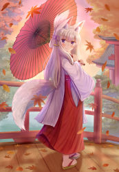 Rule 34 | 1girl, absurdres, animal ear fluff, animal ears, autumn leaves, blush, bridge, brown footwear, closed mouth, commentary request, fox ears, fox girl, fox tail, full body, hair between eyes, hair ribbon, hakama, hakama skirt, highres, holding, holding umbrella, iroha (iroha matsurika), japanese clothes, kimono, leaf, long hair, long sleeves, looking at viewer, looking to the side, maple leaf, miko, no socks, oil-paper umbrella, original, outdoors, purple eyes, purple ribbon, red hakama, red umbrella, ribbon, ribbon trim, sandals, skirt, smile, solo, standing, tail, torii, umbrella, very long hair, water, white hair, white kimono, wide sleeves, zouri
