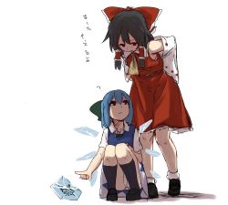Rule 34 | 2girls, ?, ascot, bent over, black hair, black legwear, blue dress, blue eyes, blue hair, bow, cirno, detached sleeves, dress, fairy, frog, frozen, frozen frog, full body, hair bow, hair ornament, hair tubes, hakurei reimu, ice, ice wings, japanese clothes, long sleeves, looking at another, looking down, looking up, mary janes, miko, multiple girls, open mouth, shirt, shoes, short hair, short sleeves, simple background, skirt, skirt set, socks, squatting, terimayo, text focus, touhou, white background, white legwear, wide sleeves, wings