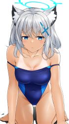 Rule 34 | 1girl, absurdres, all fours, animal ear fluff, animal ears, black one-piece swimsuit, blue archive, blue eyes, breasts, clothes pull, collarbone, commentary request, competition swimsuit, covered navel, cross hair ornament, extra ears, grey hair, hair ornament, halo, highres, looking at viewer, low ponytail, medium breasts, medium hair, mismatched pupils, multicolored clothes, multicolored swimsuit, one-piece swimsuit, one-piece swimsuit pull, one-piece tan, oryou gunsou, shiroko (blue archive), shiroko (swimsuit) (blue archive), simple background, solo, swimsuit, tan, tanline, white background, wolf ears