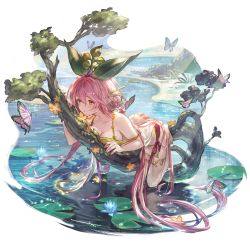 Rule 34 | 1girl, bikini, breast press, breasts, bug, butterfly, cleavage, collarbone, granblue fantasy, hair between eyes, halterneck, in tree, insect, large breasts, lily pad, long hair, lying, minaba hideo, official art, on stomach, orange eyes, pink hair, pointy ears, side-tie bikini bottom, solo, swimsuit, thighlet, transparent background, tree, water, yggdrasil (granblue fantasy)