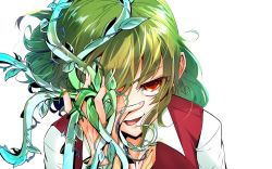 Rule 34 | 1girl, ascot, green hair, hair between eyes, image sample, itocoh, kazami yuuka, leaf, long sleeves, looking at viewer, medium hair, open mouth, plant, portrait, red eyes, red vest, shirt, smile, solo, touhou, twitter sample, vest, vines, wavy hair, white background, white shirt