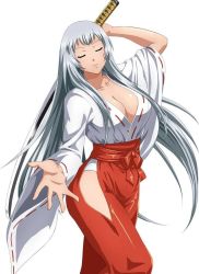 Rule 34 | 1girl, breasts, chouun shiryuu, closed eyes, ikkitousen, large breasts, long hair, official art, simple background, smile, solo, standing, sword, weapon, white background, white hair