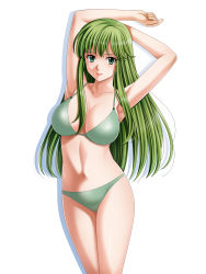 Rule 34 | 1girl, absurdres, armpits, arms up, bikini, breasts, cleavage, closed mouth, fire emblem, fire emblem: mystery of the emblem, green bikini, green eyes, green hair, highres, large breasts, long hair, looking at viewer, navel, nintendo, palla (fire emblem), sideboob, simple background, smile, solo, standing, swimsuit, tamamon, very long hair, white background