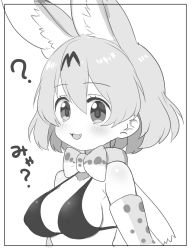 Rule 34 | 1girl, :3, ?, animal ears, bikini, bob cut, border, bow, bowtie, breasts, commentary request, elbow gloves, fang, gloves, greyscale, halterneck, highres, kemono friends, looking at viewer, medium breasts, monochrome, open mouth, print gloves, print neckwear, ransusan, serval (kemono friends), serval print, short hair, smile, solo, swimsuit, traditional bowtie, translated