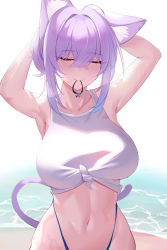 Rule 34 | 1girl, ahoge, animal ear fluff, animal ears, arms behind head, arms up, bare arms, bare shoulders, bikini, blue hair, breasts, cat ears, cat girl, cat tail, closed eyes, collarbone, commentary, crop top, crossed bangs, facing viewer, front-tie top, gradient hair, hair between eyes, hair tie in mouth, highleg, highres, hololive, kaneko (bblogtinhan), large breasts, medium hair, mouth hold, multicolored hair, navel, nekomata okayu, nekomata okayu (oversized shirt), purple hair, shirt, sidelocks, solo, stomach, swimsuit, symbol-only commentary, tail, tying hair, upper body, virtual youtuber, wet, white shirt