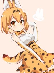 Rule 34 | 10s, 1girl, animal ears, animal print, bare shoulders, beige background, between legs, blush, bow, bowtie, breasts, brown hair, closed mouth, dutch angle, elbow gloves, gloves, hand between legs, high-waist skirt, ica, kemono friends, looking at viewer, medium breasts, multicolored clothes, multicolored gloves, multicolored hair, orange eyes, orange hair, serval (kemono friends), serval print, serval tail, shirt, short hair, simple background, skirt, sleeveless, sleeveless shirt, solo, standing, streaked hair, tail, tareme, thighhighs, white shirt, zettai ryouiki