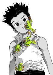 Rule 34 | 1boy, animal, animal on chest, animal on face, atie1225, bare arms, closed mouth, commentary, frog, gon freecss, greyscale, highres, hunter x hunter, looking at viewer, male focus, monochrome, shirt, sleeveless, sleeveless shirt, solo, spot color, symbol-only commentary, upper body