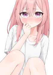 Rule 34 | 1girl, blush, borrowed clothes, closed mouth, collarbone, commentary, feet out of frame, hair between eyes, hand up, highres, hijouguti, inui sajuna, knees up, long hair, looking at viewer, pink hair, purple eyes, shirt, short sleeves, simple background, sitting, solo, sono bisque doll wa koi wo suru, white background, white shirt