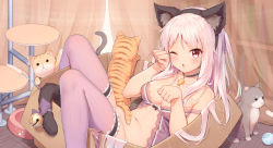 Rule 34 | 1girl, animal, animal ears, babydoll, bare shoulders, bell, black choker, black hairband, blush, bottomless, bow, bow panties, box, breasts, brown panties, cardboard box, cat, cat ears, cat teaser, choker, cleavage, collarbone, commentary request, curtains, fake animal ears, feet out of frame, frilled thighhighs, frills, hair ribbon, hairband, hands up, highres, in box, in container, indoors, jingle bell, long hair, medium breasts, navel, one eye closed, one side up, original, panties, unworn panties, parted lips, paw pose, pink hair, purple bow, purple ribbon, purple thighhighs, red eyes, ribbon, shenhai (2556146833), solo, tail, tail bell, tail bow, tail ornament, thighhighs, underwear, underwear only, very long hair