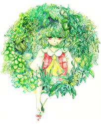 Rule 34 | 1girl, ascot, buttons, clover, female focus, fern, flower, green hair, kazami yuuka, leaf, looking at viewer, parted lips, petals, plaid, plaid vest, puffy sleeves, red eyes, short hair, short sleeves, simple background, solo, touhou, tugumi0w0, vest, white background, wreath