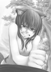 Rule 34 | angry, animal ears, bw, highres, holo, monochrome, nude, spice and wolf, tears