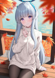 Rule 34 | 1girl, absurdres, autumn leaves, blue archive, highres, long hair, long sleeves, looking at viewer, noa (blue archive), purple eyes, smile, solo, topgear