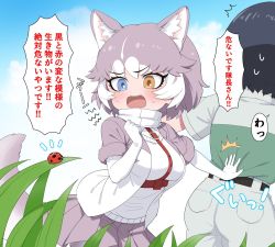 Rule 34 | 1girl, 1other, animal ears, belt, blue eyes, blush, bug, captain (kemono friends), commentary request, dog (mixed breed) (kemono friends), dog ears, dog girl, dog tail, elbow gloves, fang, gloves, grey hair, grey jacket, grey skirt, harness, heterochromia, highres, insect, jacket, kemono friends, kemono friends 3, ladybug, multicolored hair, open mouth, pleated skirt, ransusan, scarf, short hair, short sleeves, skirt, sweatdrop, sweater, tail, translation request, uniform, white gloves, white hair, white scarf, white sweater, yellow eyes