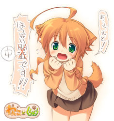 Rule 34 | 1girl, ahoge, animal ears, blush, clenched hand, clenched hands, dog ears, dog tail, fang, green eyes, ivory, leaning forward, mikan (wanko), mizuki kotora, non-web source, open mouth, orange hair, partially translated, red hair, skirt, solo, sweatdrop, tail, translation request, wanko to kurasou