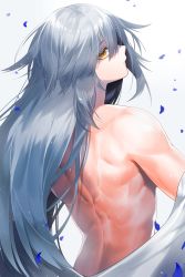 Rule 34 | 1girl, back, back focus, breasts, commentary request, dodome ichika, eyes visible through hair, from behind, highres, long hair, looking at viewer, messy hair, muscular, muscular female, original, petals, sidelocks, silver hair, simple background, small breasts, solo, undressing, upper body, very long hair, waka (shark waka), yellow eyes