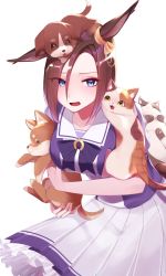 Rule 34 | 1girl, absurdres, air groove (umamusume), animal, animal ears, animal on head, blue eyes, bow, bowtie, breasts, brown hair, cat, dog, dog on head, ear bow, frilled skirt, frills, highres, holding, holding animal, holding dog, horse ears, horse girl, horse tail, horseshoe ornament, large breasts, nitsu (nitsuni2 2), on head, pleated skirt, puffy short sleeves, puffy sleeves, purple bow, purple bowtie, purple serafuku, purple shirt, sailor collar, sailor shirt, school uniform, serafuku, shirt, short hair, short sleeves, sideways glance, simple background, skirt, solo, tail, tracen school uniform, umamusume, white background, white skirt, yellow bow