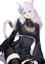 Rule 34 | 1girl, absurdres, animal ear fluff, animal ears, black thighhighs, blunt bangs, cat ears, cat tail, cosplay, feather-trimmed sleeves, feather trim, final fantasy, final fantasy xiv, flower, gloves, grey eyes, hair flower, hair ornament, heterochromia, highres, kyo (kuroichigo), long hair, miqo&#039;te, mole, mole under mouth, nier:automata, nier (series), parted lips, pink hair, red eyes, see-through, shiny skin, simple background, sitting, solo, tail, thighhighs, white background, white gloves, 2b (nier:automata), 2b (nier:automata) (cosplay)