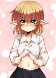 Rule 34 | 1girl, :/, black skirt, blonde hair, blush, buttons, closed mouth, clothes lift, collarbone, collared shirt, cowboy shot, dress shirt, eyebrows, eyelashes, eyes visible through hair, facing viewer, green eyes, highres, lifted by self, long sleeves, looking at viewer, meiousei (mamea), mizuhashi parsee, navel, pleated skirt, pointy ears, shirt, shirt lift, short hair, skirt, solo, standing, stomach, touhou, white shirt
