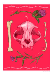 Rule 34 | animal skull, artist name, bone, commentary, english commentary, english text, flower, gatoiberico, highres, no humans, original, purple flower, red background, simple background, skull