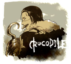 Rule 34 | 1boy, character name, male focus, one piece, crocodile (one piece), solo