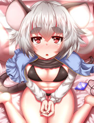Rule 34 | 1girl, animal ears, bikini, bikini under clothes, black bikini, blush, cape, clothes lift, commentary request, eyebrows, flat chest, gem, highres, jewelry, unworn jewelry, long sleeves, mouse ears, mouse tail, navel, nazrin, necklace, unworn necklace, open mouth, pendant, red eyes, shirt lift, silver hair, sitting, solo, swimsuit, swimsuit under clothes, tail, thick eyebrows, touhou, wariza, yes-no pillow, zan (harukahime)