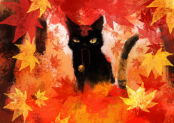 Rule 34 | animal, animal focus, autumn, bell, cat, falling leaves, leaf, no humans, original, oropi