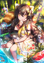 Rule 34 | 1girl, absurdres, animal ears, ankle ribbon, artist name, bamboo, bamboo forest, bow, closed mouth, dress, floral print, flower, food, forest, fruit, hair between eyes, hair bow, hair ornament, highres, knees together feet apart, kyjsogom, leaf, leg ribbon, liza (qurare), long hair, looking at viewer, nature, necktie, outdoors, partially submerged, plant, puffy short sleeves, puffy sleeves, qurare magic library, red panda ears, red panda tail, ribbon, sash, short sleeves, single wrist cuff, sitting, soaking feet, solo, tail, thigh strap, wading, water, water drop, watermark, watermelon, web address, white dress, wrist cuffs, yellow bow, yellow eyes, yellow necktie, yellow ribbon