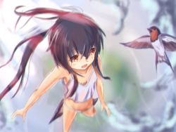 Rule 34 | 1girl, akabane hibame, bare shoulders, bird, black hair, blush, breasts, brown eyes, from above, no pants, open mouth, original, panties, sidelocks, small breasts, smile, solo, tank top, twintails, underwear, white panties