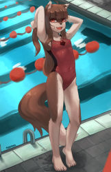 Rule 34 | 1girl, :d, animal ears, arms up, artist name, brown hair, competition swimsuit, full body, furry, furry female, highres, holo, long hair, one-piece swimsuit, open mouth, pool, red one-piece swimsuit, seraziel, smile, solo, spice and wolf, standing, swimsuit, tail, wolf ears, wolf girl, wolf tail