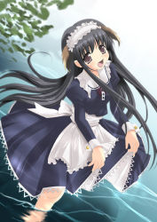 Rule 34 | 1girl, animal ears, black hair, brown eyes, dog ears, female focus, long hair, maid, partially submerged, plant, solo, standing, water