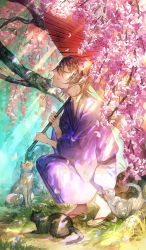 Rule 34 | 1boy, brown hair, cat, cherry blossoms, closed eyes, closed mouth, collarbone, commentary request, dappled sunlight, day, from side, full body, grass, hair between eyes, holding, holding umbrella, japanese clothes, kimono, light rays, long sleeves, male focus, mura karuki, nature, obi, oil-paper umbrella, original, outdoors, parted bangs, petals, purple kimono, raised eyebrows, red umbrella, rock, sandals, sash, smile, squatting, sunlight, tree, tree shade, umbrella, under tree, wavy hair, wide sleeves, zouri