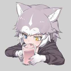 Rule 34 | 1girl, ahoge, animal ears, blue eyes, brown eyes, cup, dog (mixed breed) (kemono friends), dog ears, drinking glass, elbow gloves, gloves, grey hair, heterochromia, kemono friends, long sleeves, looking away, looking down, nyifu, short hair, solo, tongue, tongue out, white gloves, white hair