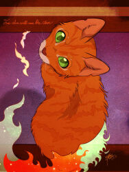 animal animal_focus cat clip_studio_paint_(medium) commentary dated english_commentary english_text fiery_tail fire firestar_(warrior_cats) from_above green_eyes indoors looking_at_viewer looking_up no_humans orange_cat orange_fur painttool_sai_(medium) signature source_quote tail unibat warrior_cats watermark whiskers