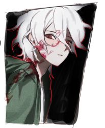 Rule 34 | 1boy, alternate eye color, bad id, bad twitter id, black background, blood, blood on clothes, blood on face, closed mouth, commentary request, danganronpa (series), danganronpa 2: goodbye despair, from side, green jacket, hood, hood down, hooded jacket, jacket, komaeda nagito, looking at viewer, male focus, open clothes, open jacket, outline, red eyes, red outline, serious, shirt, short hair, solo, upper body, white background, white hair, yp (pypy 5 )